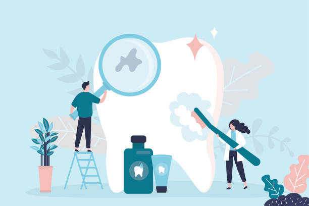 Best General Dentistry  in Campbellsport, WI